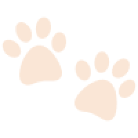 Paw prints decor