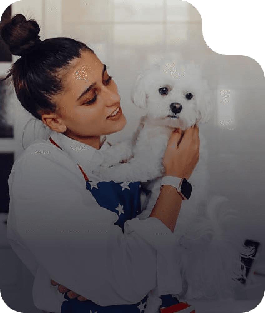 Dog Sitting