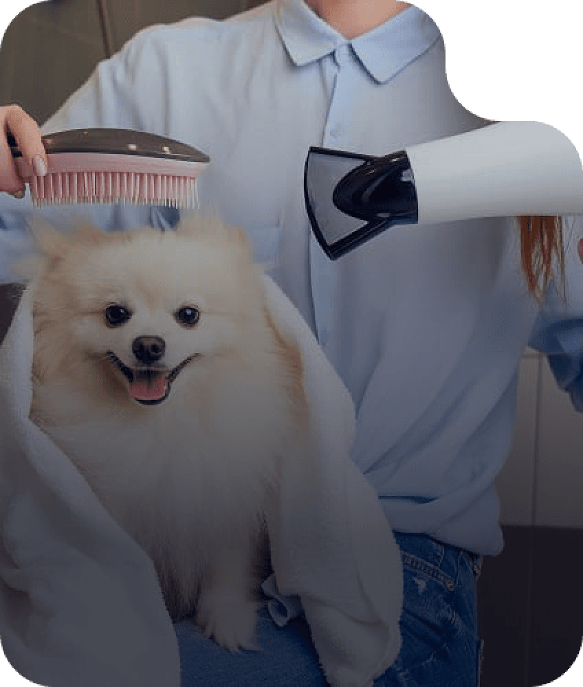 Hair Styling