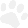 Decorative paw