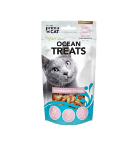 Meow Morsels