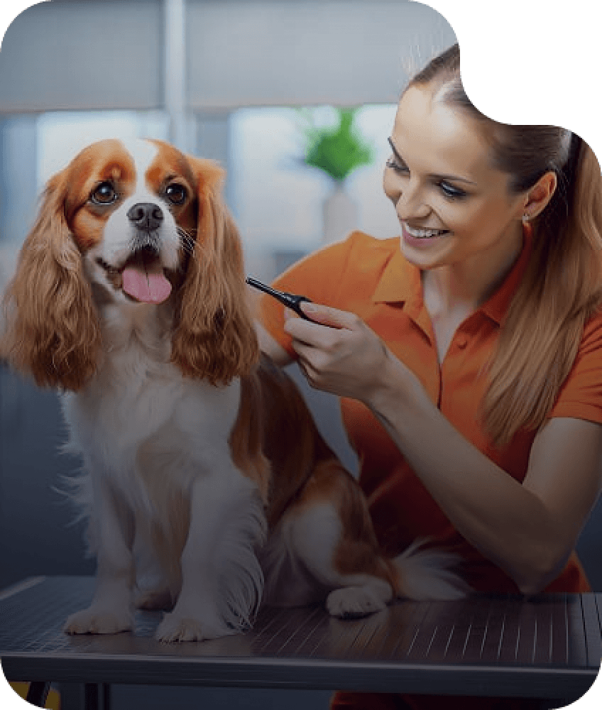Flea & Tick Control